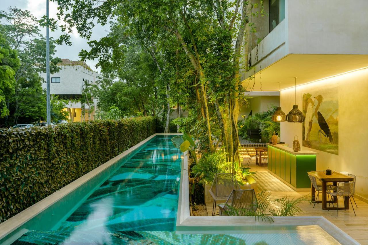 דירות טולום 305 Luxury Penthouse With Private Pool מראה חיצוני תמונה