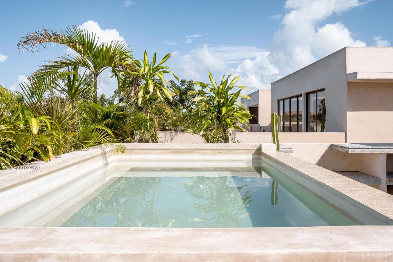 דירות טולום 305 Luxury Penthouse With Private Pool מראה חיצוני תמונה